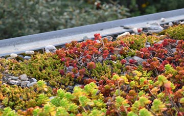 the cost of Netton green roof installation