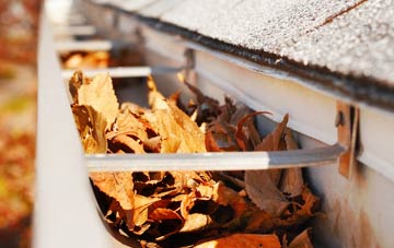 Netton gutter cleaning companies