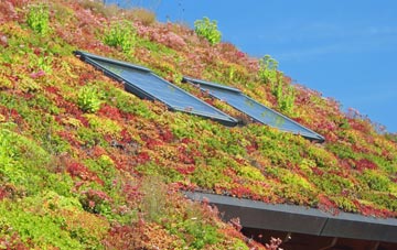 Netton living roof systems