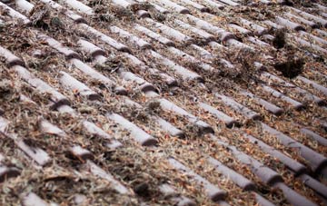 Netton roof cleaning companies