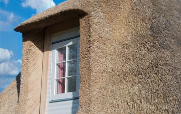 Netton thatch roof disadvantages