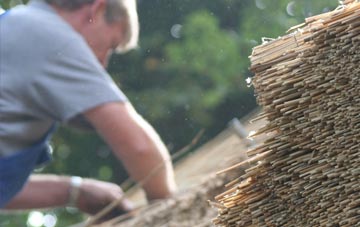 professional Netton thatchers