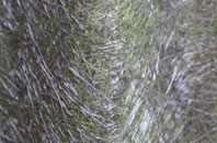 Netton fibreglass roof work