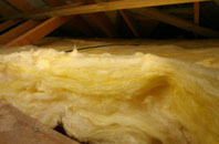 Netton pitch roof insulation